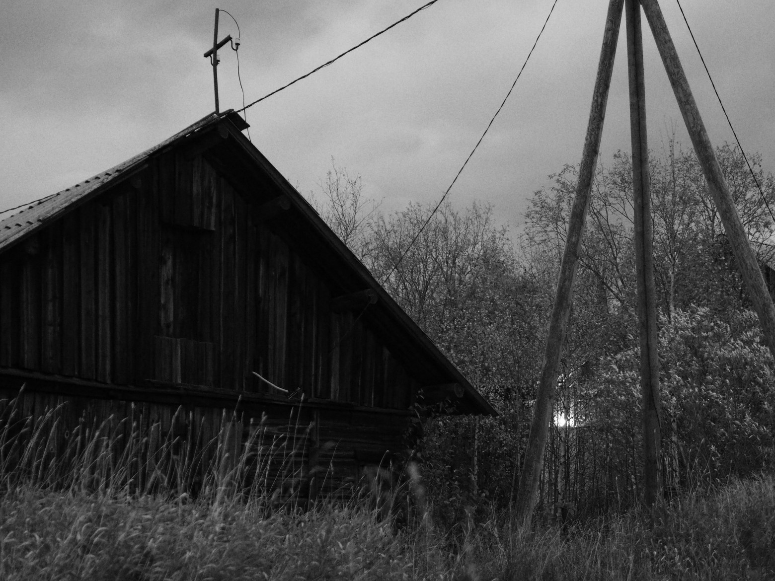 Цифровая чёрно-белая фотография - 8