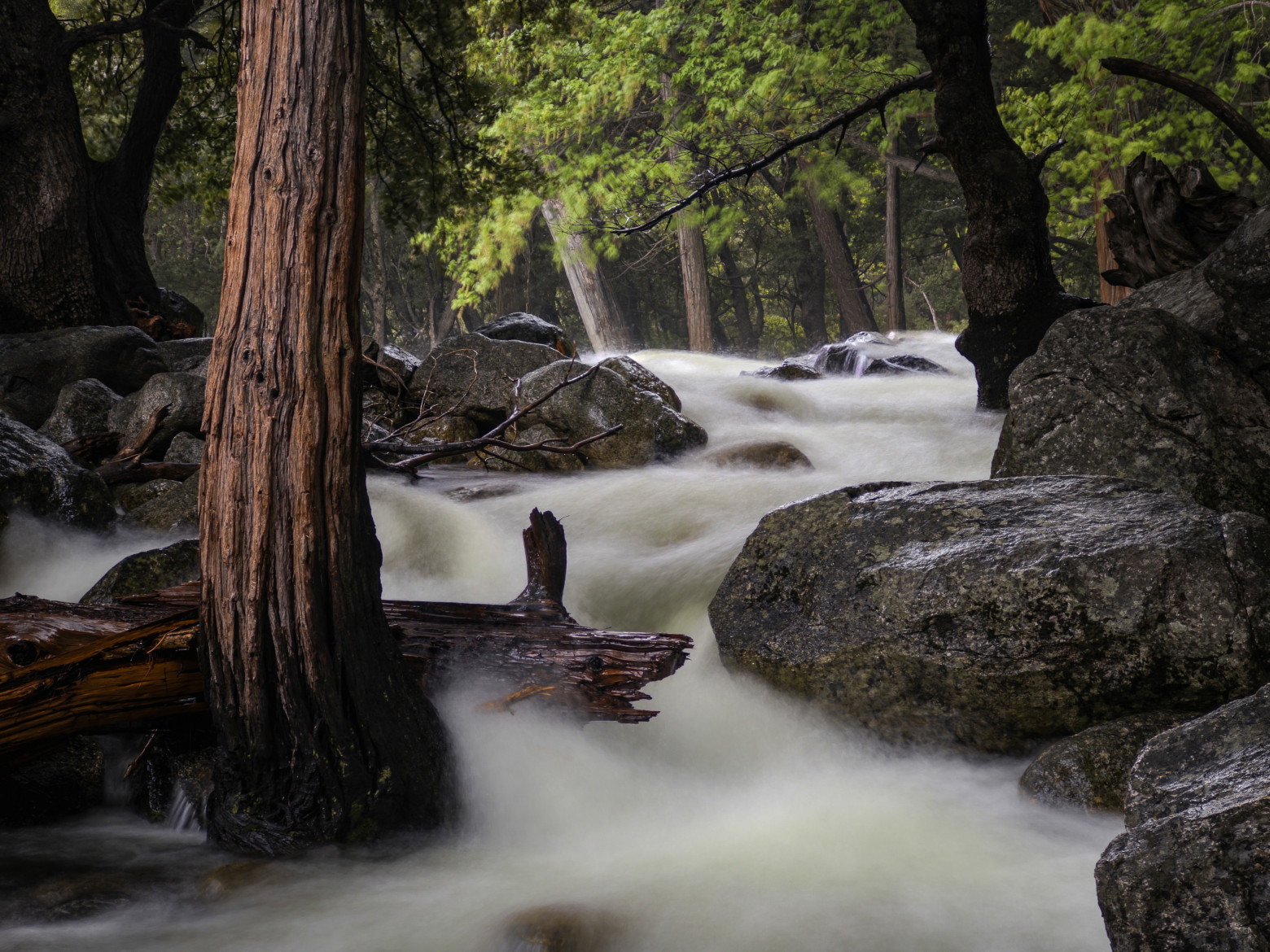 Фотоприложение Project Indigo от Adobe: HDR, ночь и DSLR-качество в одном флаконе - 9