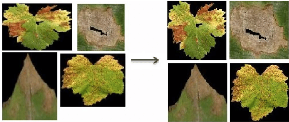 Компьютерное зрение для начинающих - 1
