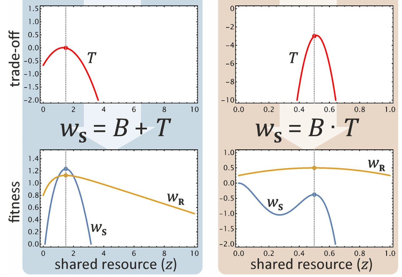Функции компромисса затрат/выгод для двух традиционных игр сигнализации. Слева: аддитивная игра с выпрашиванием потомства. Справа: мультипликативная игра с выбором партнера. Пунктирные вертикальные линии обозначают оптимальное количество ресурсов для получателя и сигнализатора с учетом качества или состояния сигнализатора. Функция компромисса T , будучи добавленной к B или умноженной на B , преобразует выгоду сигнализатора B в его фактическую приспособленность w S таким образом, что его оптимальное количество запрошенного ресурса a совпадает с количеством z , разделяемым получателем.  