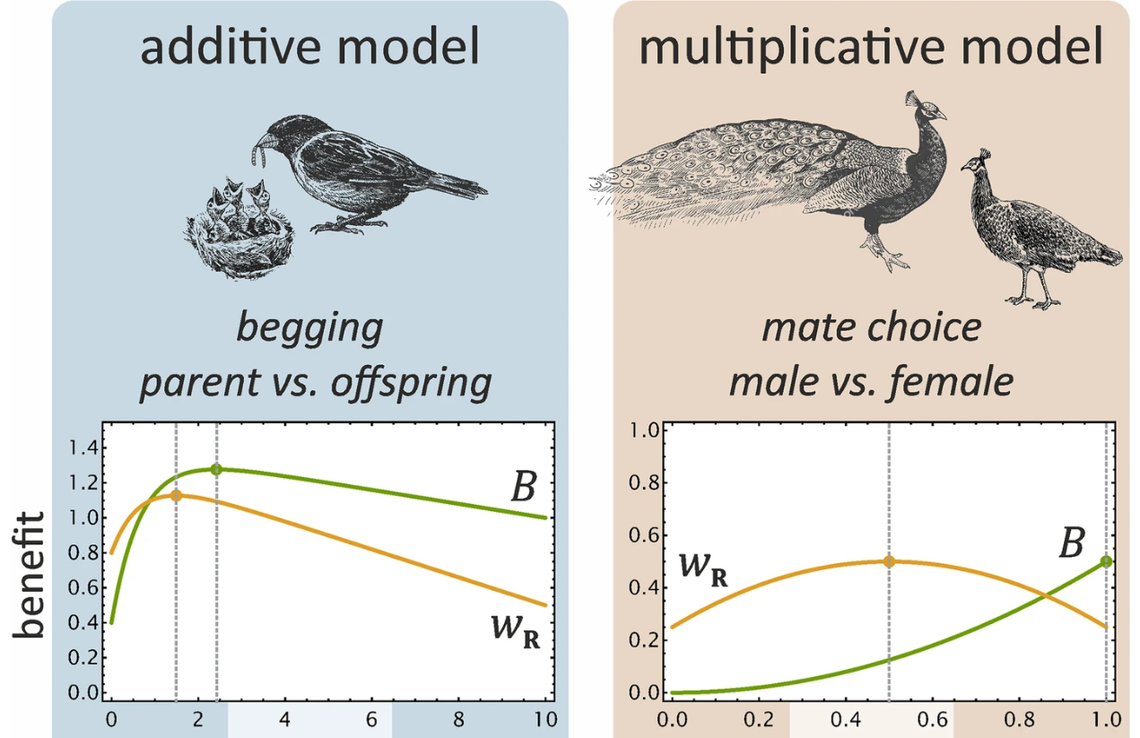 Функции компромисса затрат/выгод для двух традиционных игр сигнализации. Слева: аддитивная игра с выпрашиванием потомства. Справа: мультипликативная игра с выбором партнера. Пунктирные вертикальные линии обозначают оптимальное количество ресурсов для получателя и сигнализатора с учетом качества или состояния сигнализатора. Функция компромисса T , будучи добавленной к B или умноженной на B , преобразует выгоду сигнализатора B в его фактическую приспособленность w S таким образом, что его оптимальное количество запрошенного ресурса a совпадает с количеством z , разделяемым получателем.  