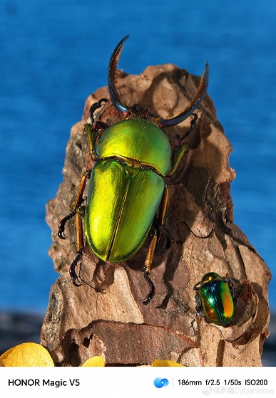 6100 мАч, 66 Вт, экран 7,95 дюйма и, возможно, лучшая камера в классе. Honor показала фото, сделанные камерой Magic V5