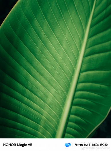 6100 мАч, 66 Вт, экран 7,95 дюйма и, возможно, лучшая камера в классе. Honor показала фото, сделанные камерой Magic V5