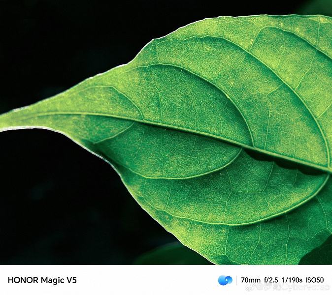 6100 мАч, 66 Вт, экран 7,95 дюйма и, возможно, лучшая камера в классе. Honor показала фото, сделанные камерой Magic V5