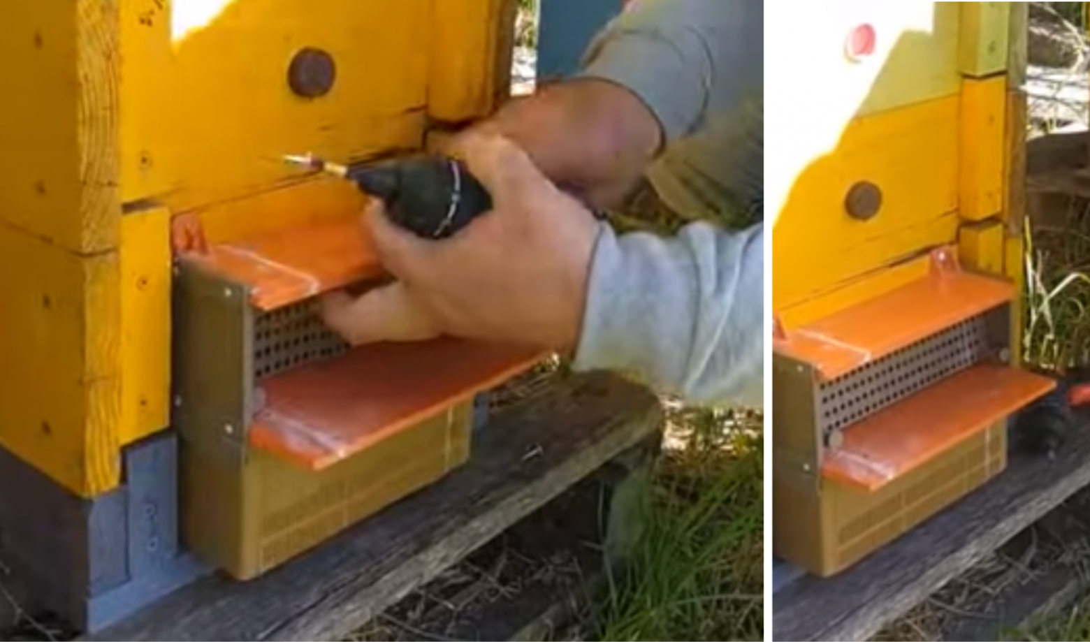 На вход улья устанавливаются такие приспособления