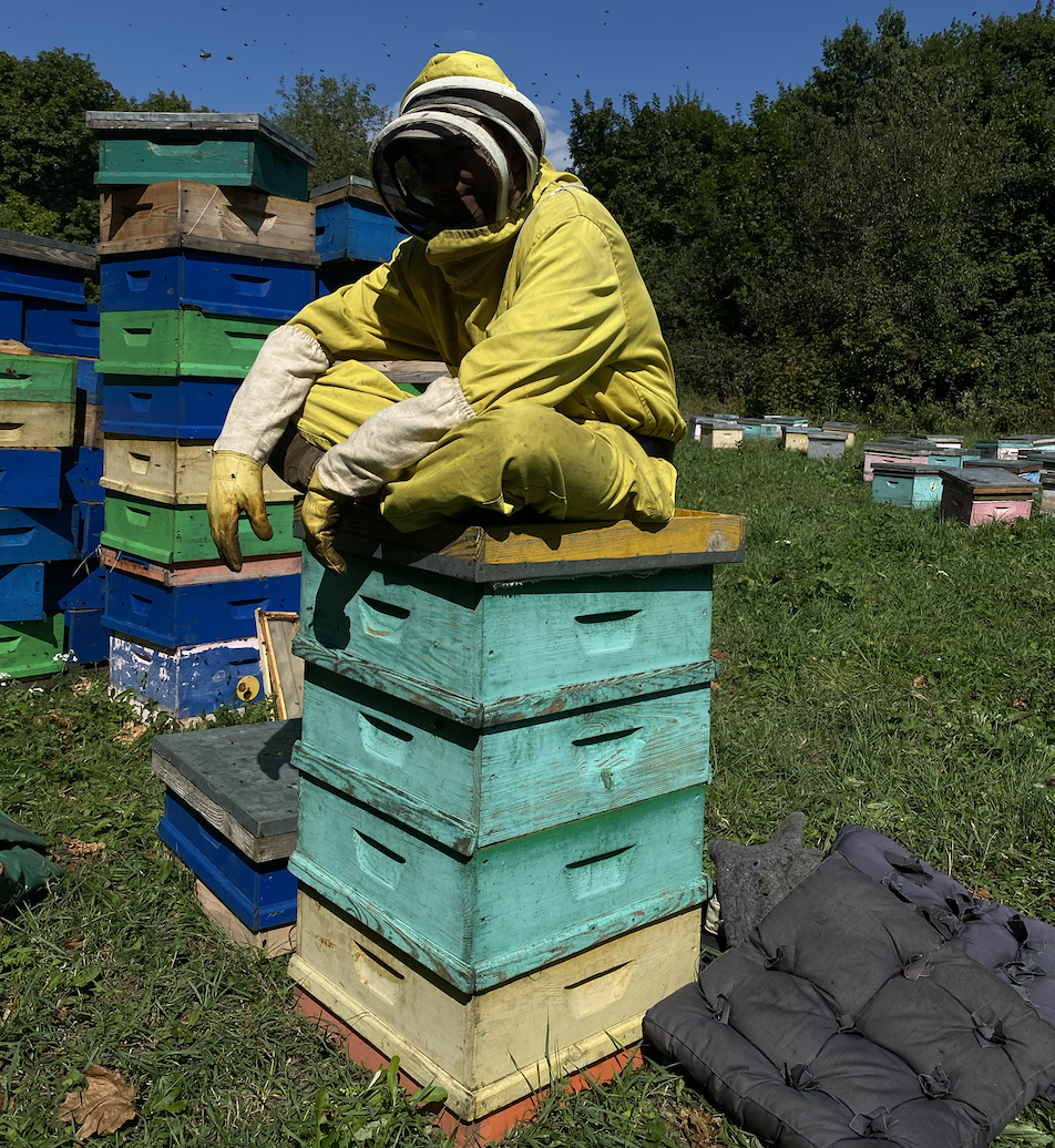 Нужно постоянно следить за семьями, обрабатывать от болезней, готовить к перевозкам.