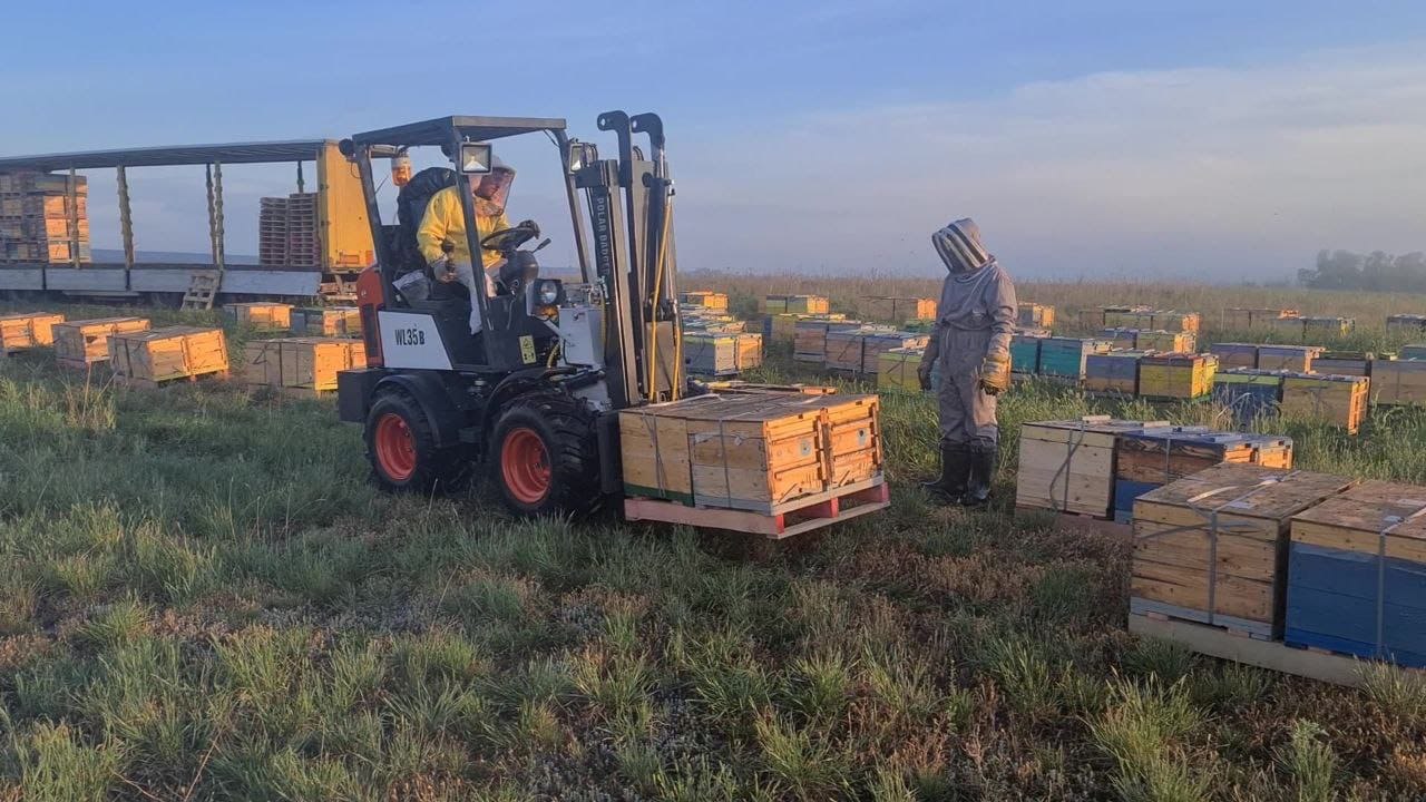 1500 ульев по 40 кг каждый — это 60 тонн груза. Вручную такое не разгрузишь.