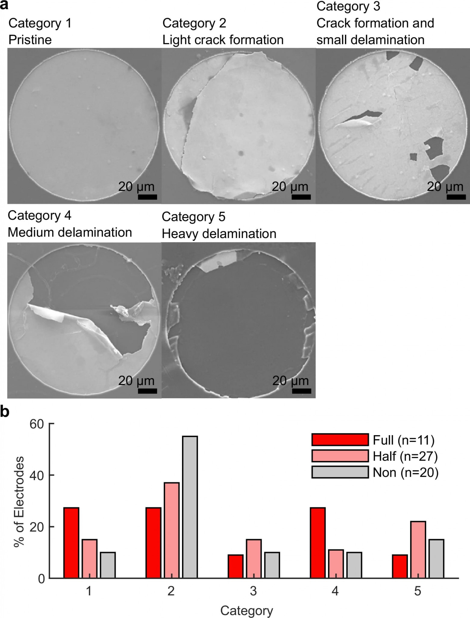 Стимуляция восстановления спинного мозга - 8