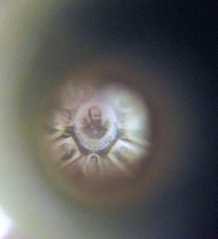 Микрофотографическая репродукция литографии 1882 года под названием «От колыбели до могилы. Сцены и происшествия из жизни генерала Джеймса А. Гарфилда», созданной в память об убитом президенте  