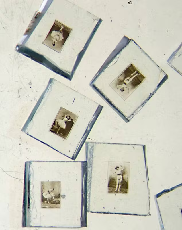 Подборка микрофотографий женщин, найденных в предметах с линзами Стэнхоупа, примерно конец 19 века