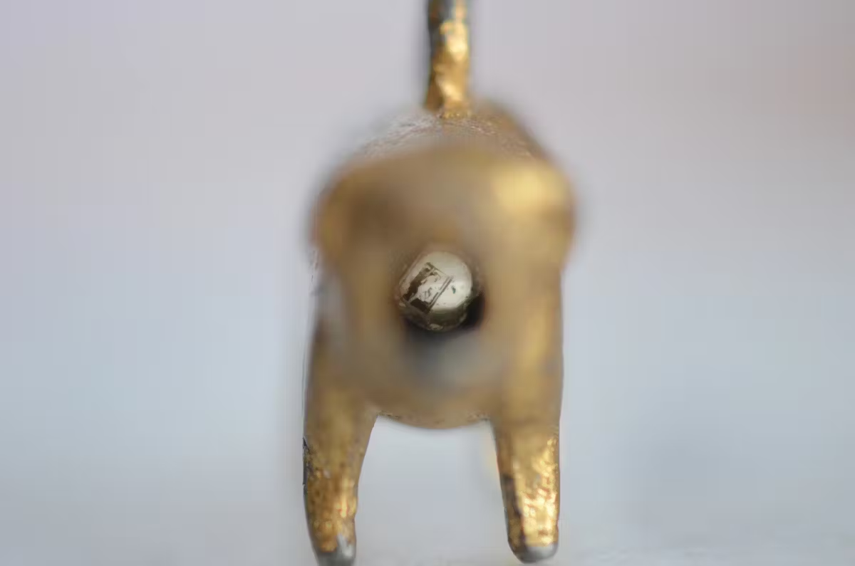 Свинья-талисман Стэнхоупа, содержащий эротическую микрофотографию, ок. конца 19 века. Изображение должно быть видно через зад свиньи, но здесь сфотографировано через рот  