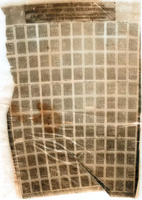 Микрофотография Дагрона, содержащая военные сообщения, пересылаемые голубиной почтой во время осады Парижа, 1871 г.  