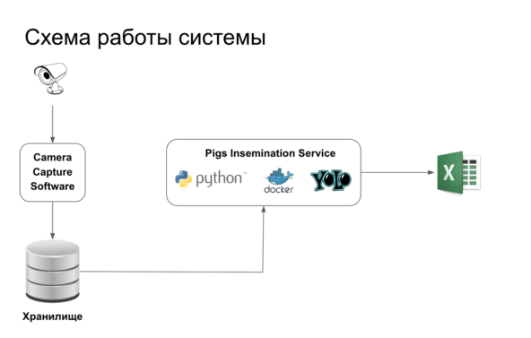 Как понять что свинюшка готова к любви? Определяем через ML