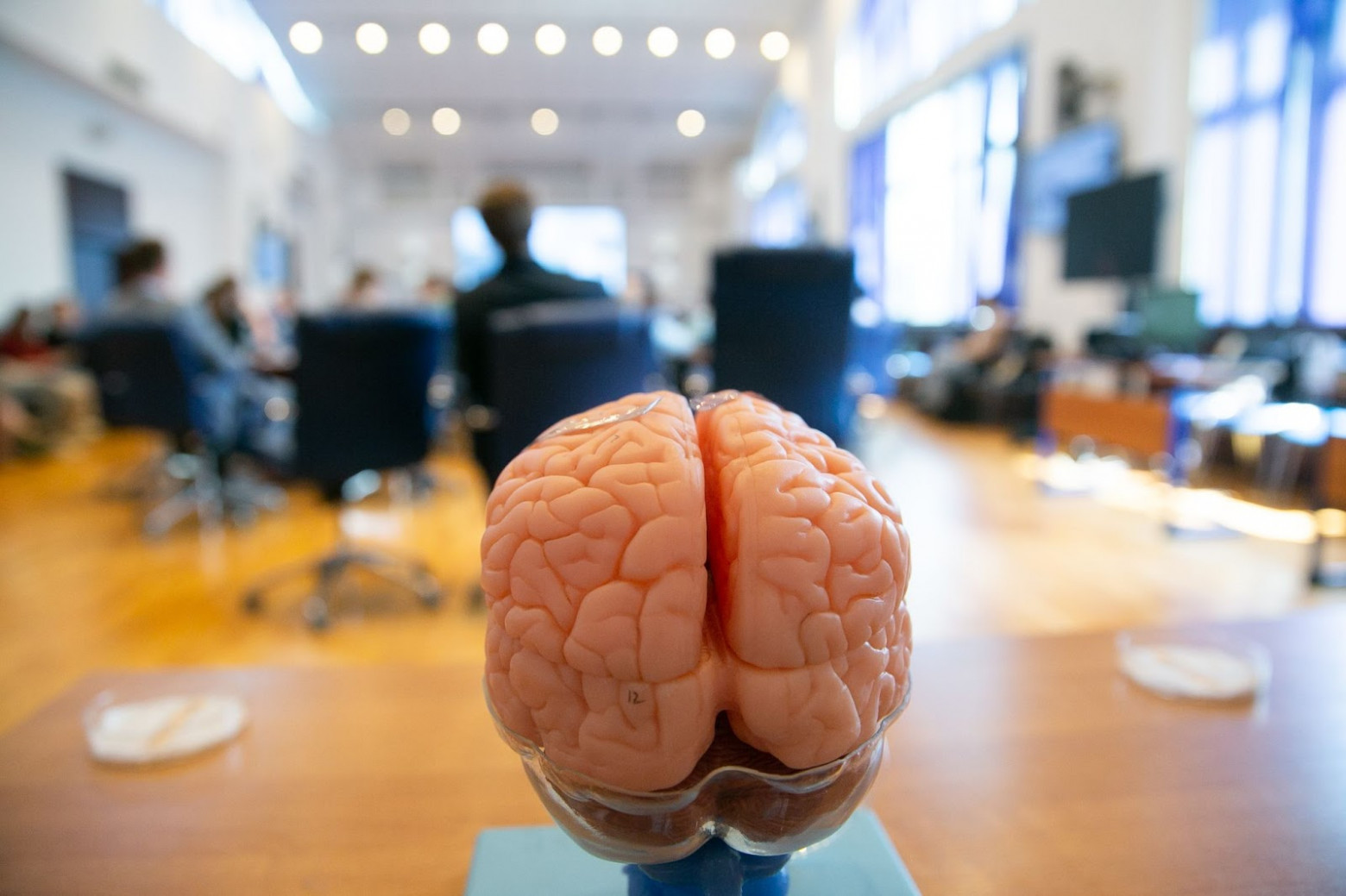 Фото: пресс‑служба НИУ ВШЭ