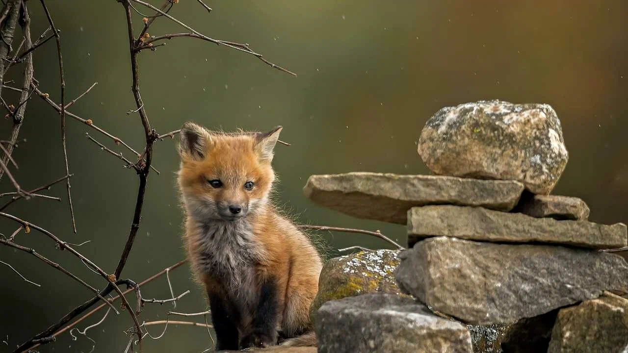 Исходное изображение