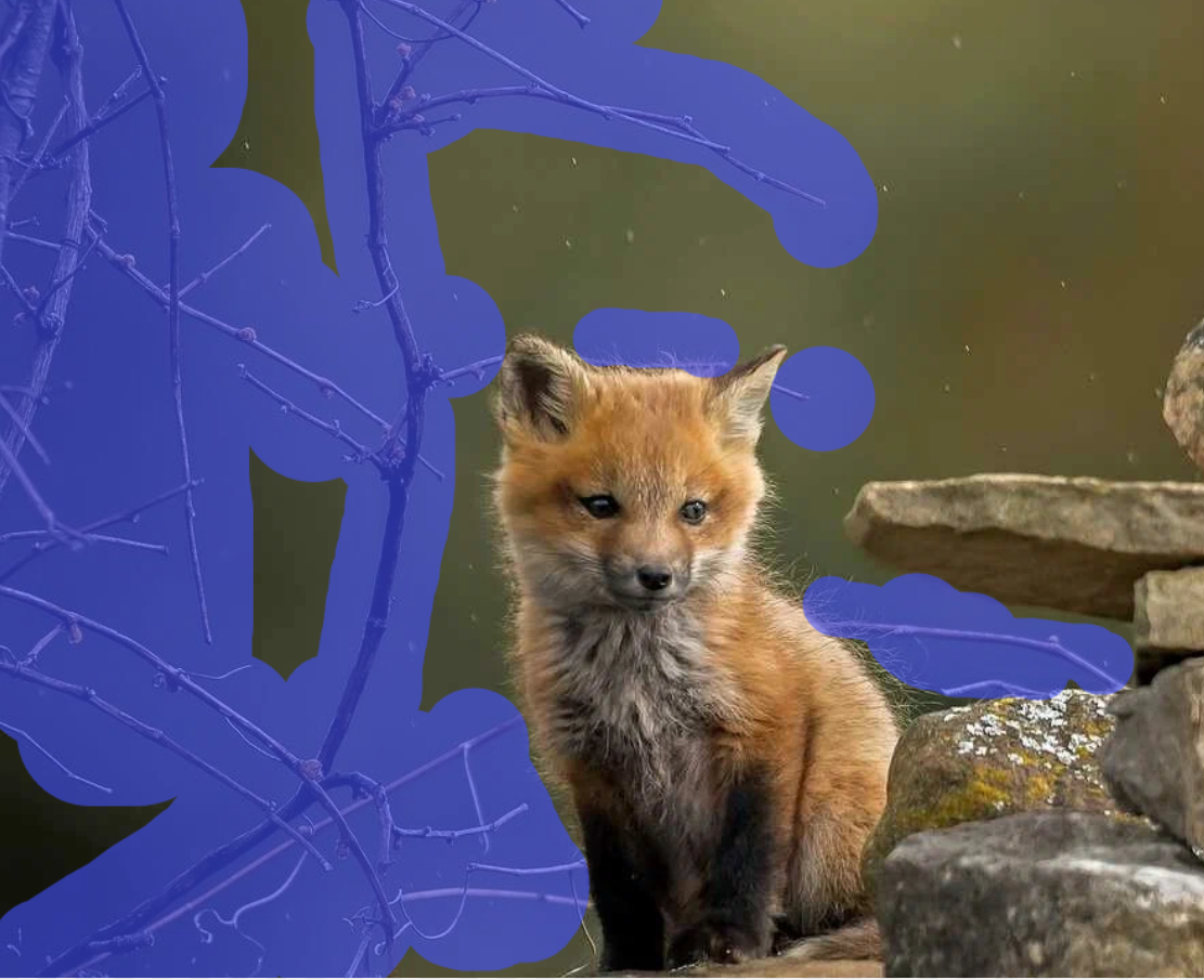 Выделяем нежелательные объекты