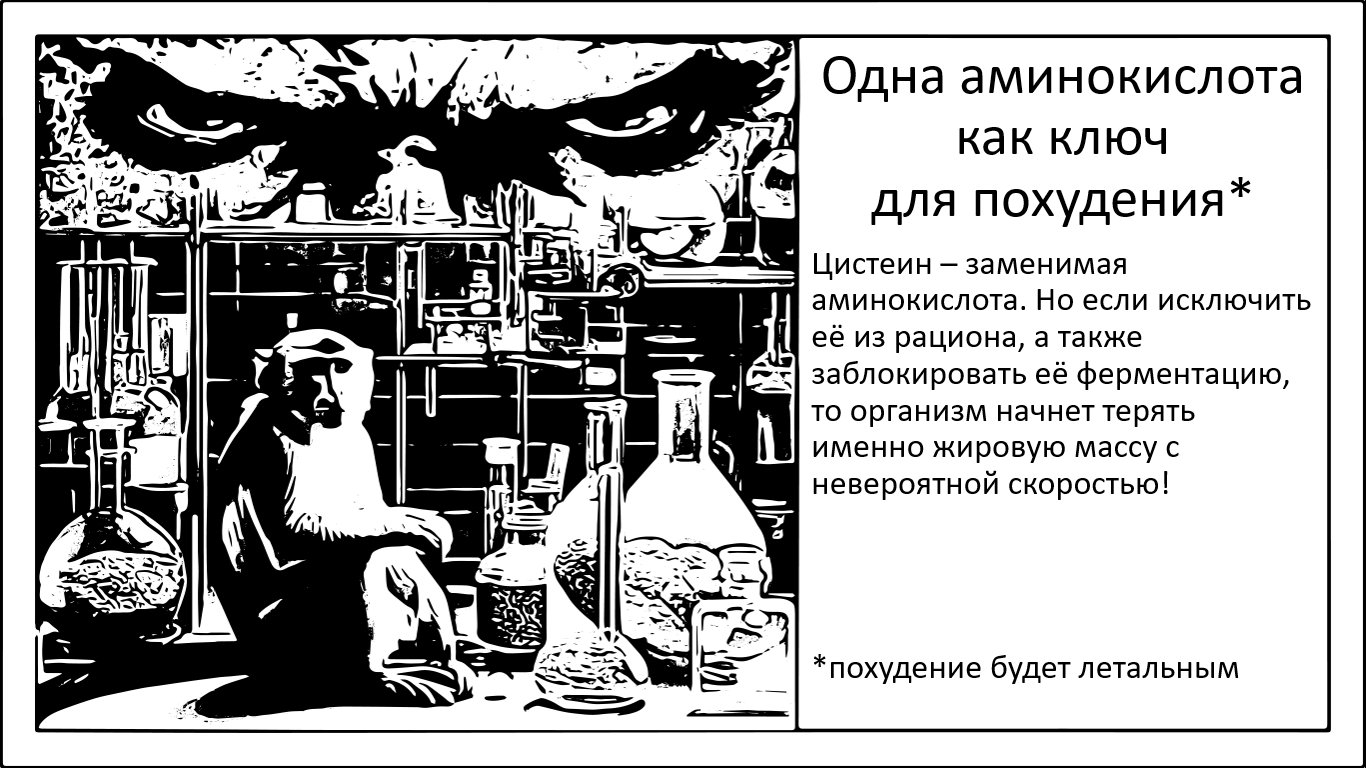 Цистеин. Как одна аминокислота мешает худеть. И спасибо ей за это - 1 Цистеин. Как одна аминокислота мешает худеть. И спасибо ей за это - 1