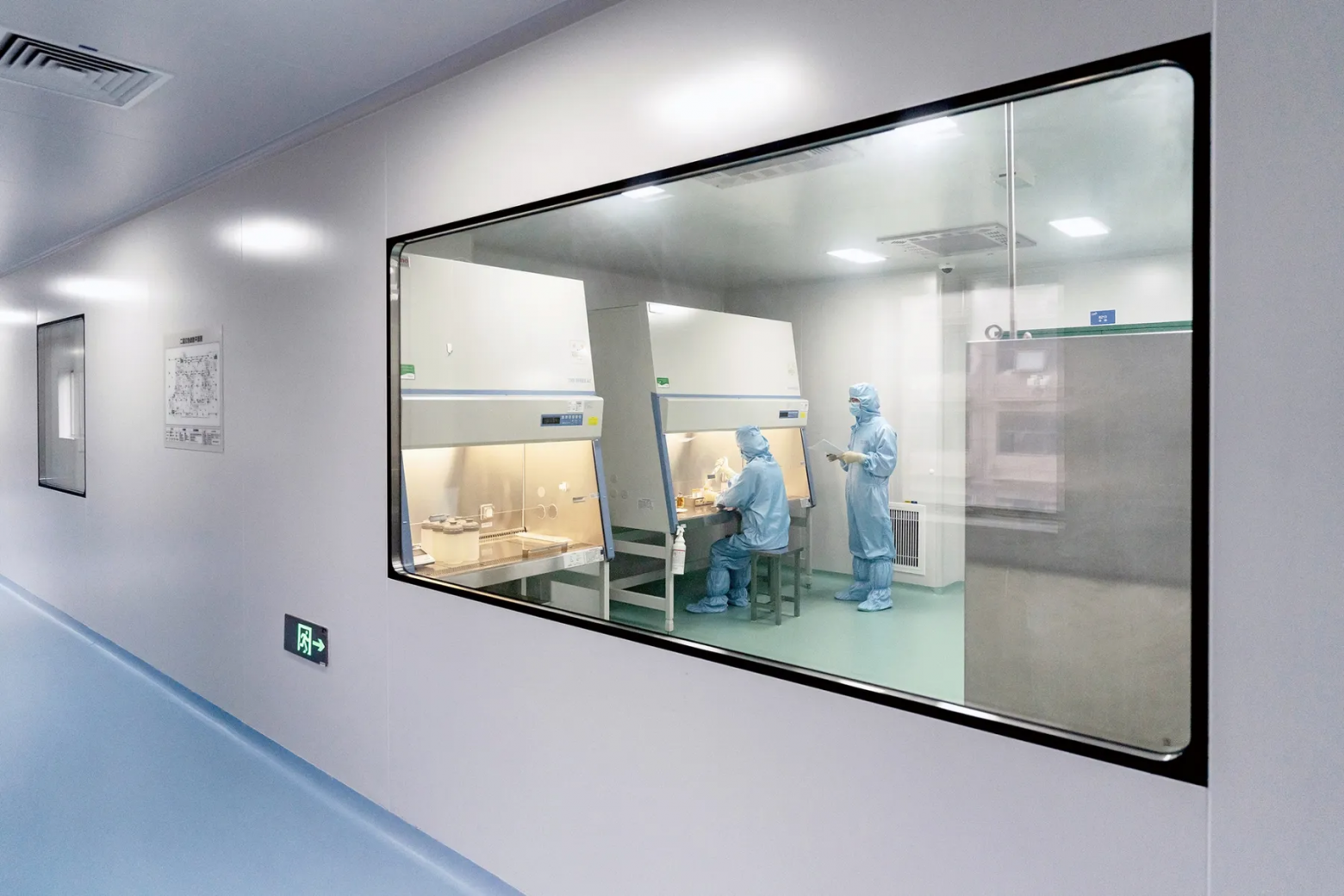 Производственная лаборатория по выпуску CAR-T-клеточной терапии в Нанкине, Китай, 9 июня. Фотограф: Цилай Шэнь/Bloomberg