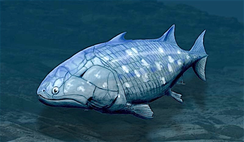 Guiyu oneiros , самая ранняя из известных костистых рыб, жила в позднем силуре , 425 миллионов лет назад. [ 1 ] Она сочетает в себе черты как лучеперых , так и лопастепёрых рыб.  