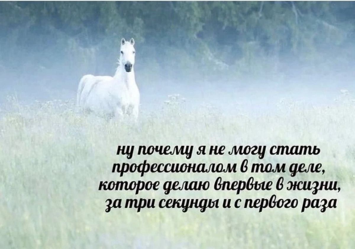 Как ИТ-инструменты помогают финансисту расти в 3 раза быстрее - 5 Как ИТ-инструменты помогают финансисту расти в 3 раза быстрее - 5