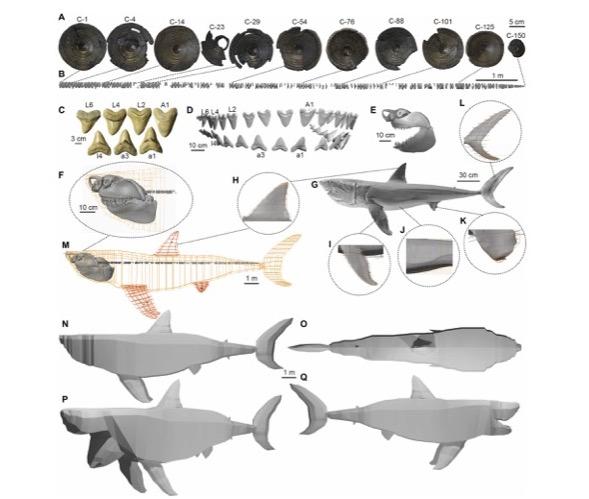 DOI: 10.1126/sciadv.abm9424