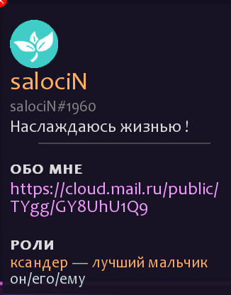 Профиль Сэла