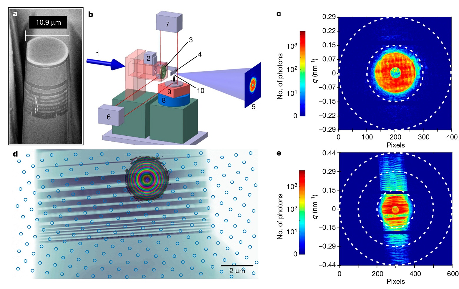 Принципы PXCT