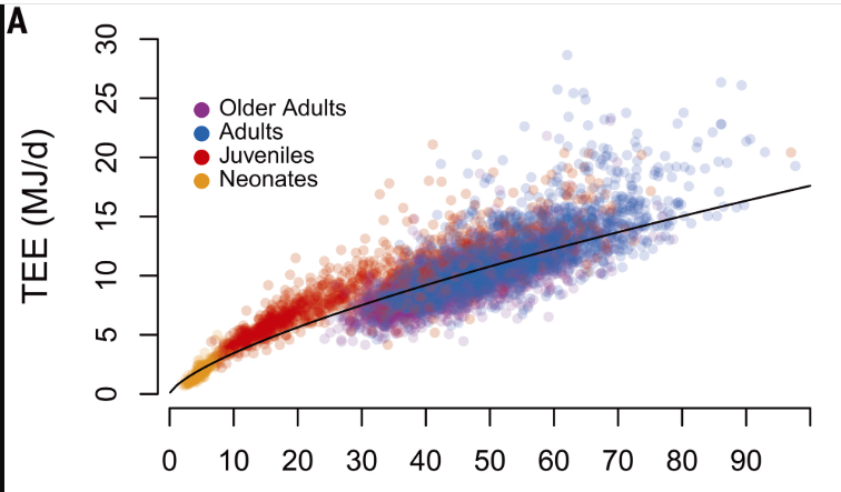 Про скорость обмена веществ у людей, он же метаболизм - 2 Про скорость обмена веществ у людей, он же метаболизм - 2