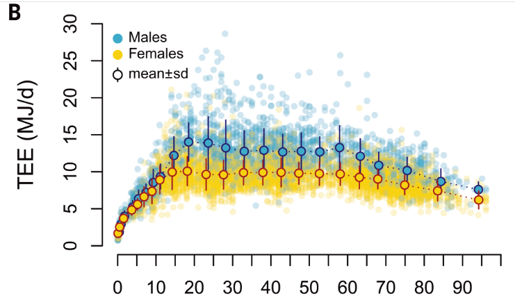 Про скорость обмена веществ у людей, он же метаболизм - 3 Про скорость обмена веществ у людей, он же метаболизм - 3
