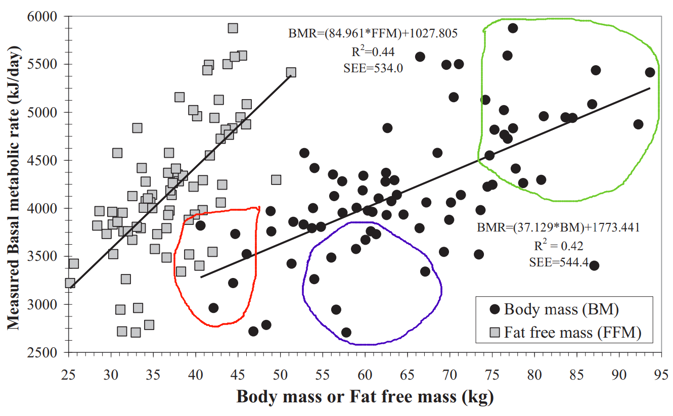 Про скорость обмена веществ у людей, он же метаболизм - 9 Про скорость обмена веществ у людей, он же метаболизм - 9