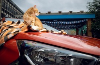 Инсайдер рассказал о мрачном запуске Lada Iskra: дилерам отправили не более 100 машин, продано всего 2-3 авто, дилеры даже не берут предоплату - 1