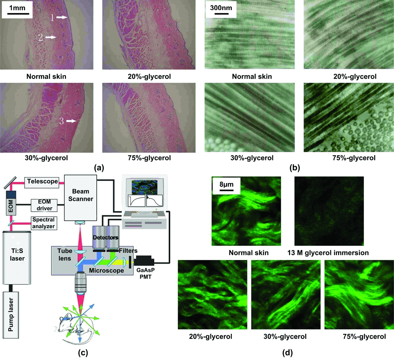 В эксперименте с кожей оценивались разные комбинации лазеров и просветляющих агентов на основе глицерина