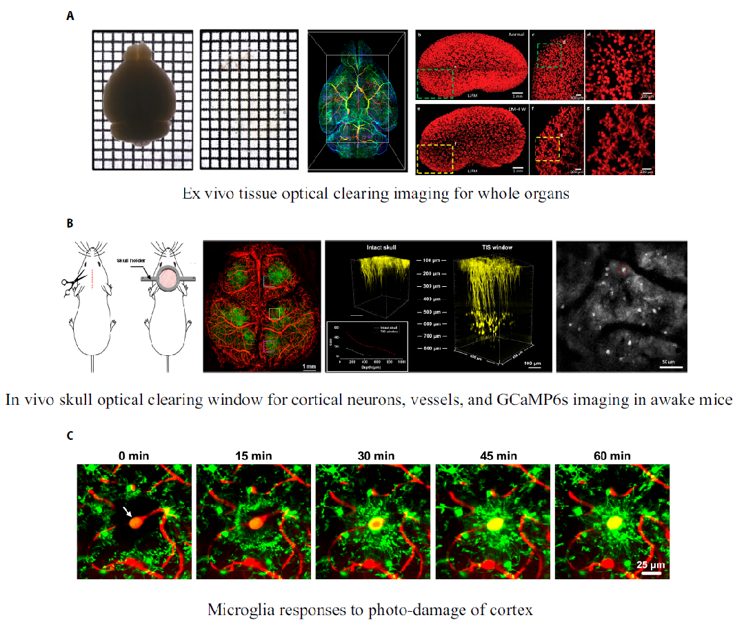 Просвечивает? Клетчатая тетрадка — беспроигрышный способ измерения прозрачности
