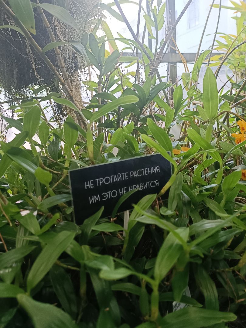 Как мы превращаем коллег в друзей: летние традиции Content AI - 2 Как мы превращаем коллег в друзей: летние традиции Content AI - 2