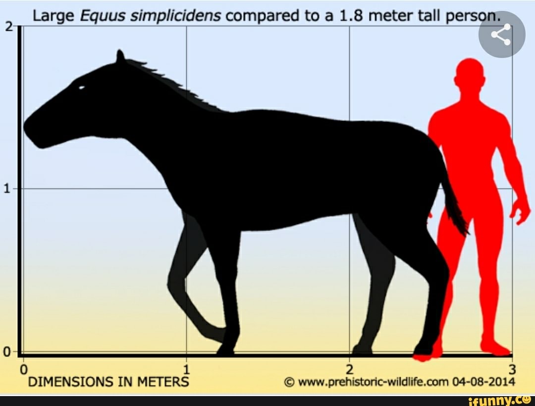Индейцы, пеммикан и уничтожение видов бизонов и лошадей до прихода европейцев - 11