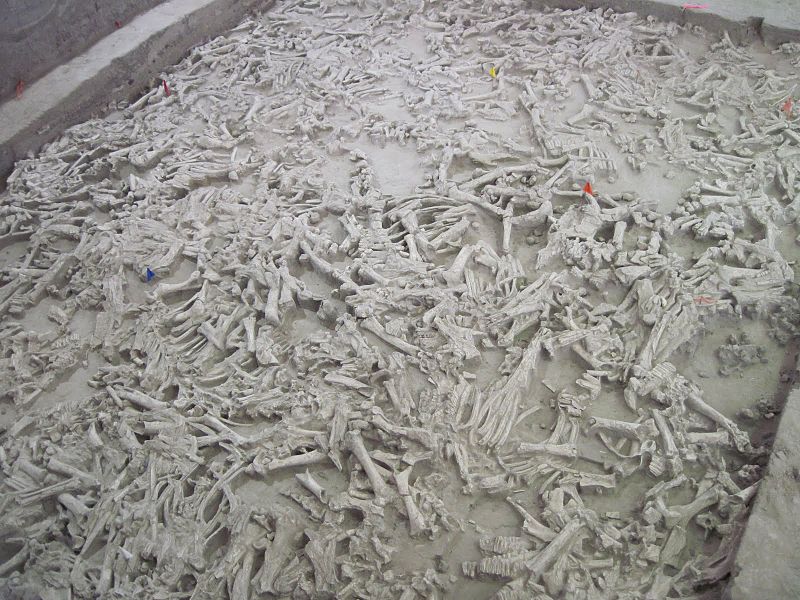 Индейцы, пеммикан и уничтожение видов бизонов и лошадей до прихода европейцев - 14