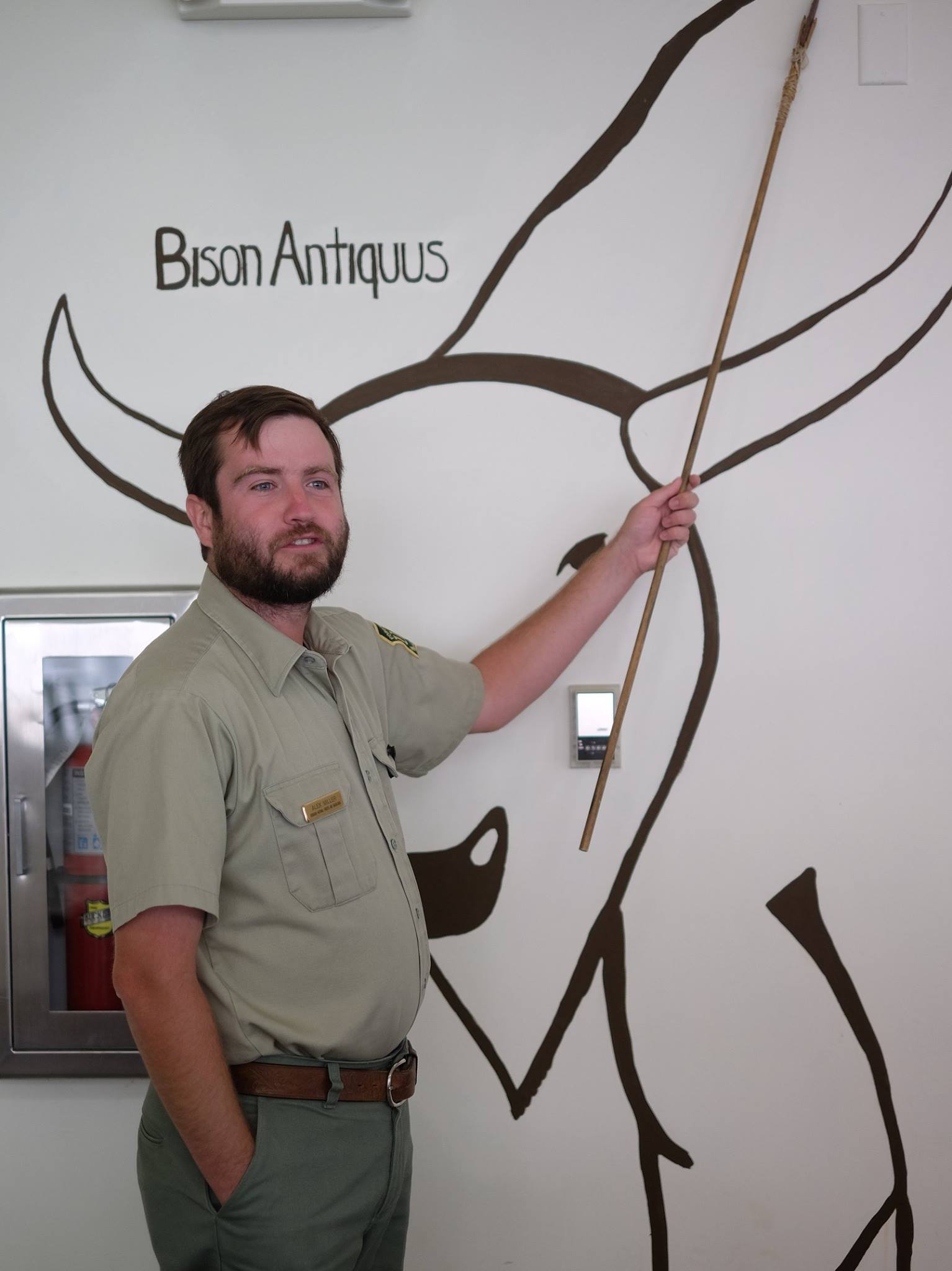 Индейцы, пеммикан и уничтожение видов бизонов и лошадей до прихода европейцев - 16