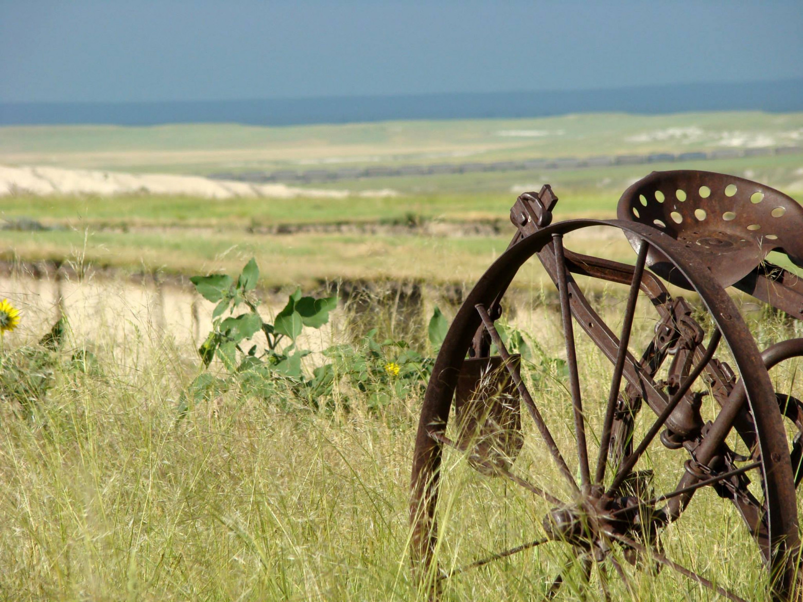 Индейцы, пеммикан и уничтожение видов бизонов и лошадей до прихода европейцев - 19