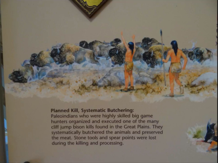 Индейцы, пеммикан и уничтожение видов бизонов и лошадей до прихода европейцев - 23