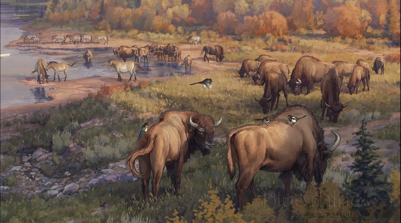 Индейцы, пеммикан и уничтожение видов бизонов и лошадей до прихода европейцев - 31