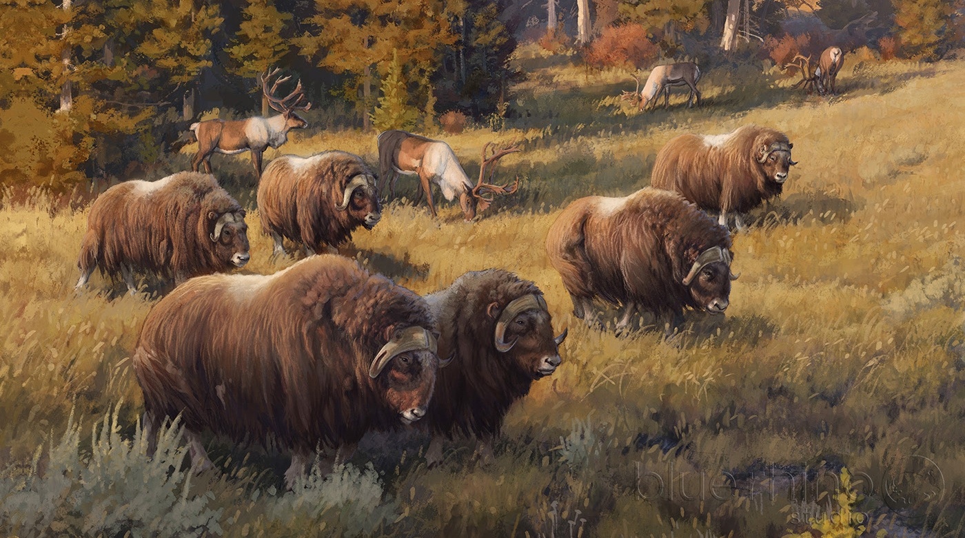 Индейцы, пеммикан и уничтожение видов бизонов и лошадей до прихода европейцев - 35