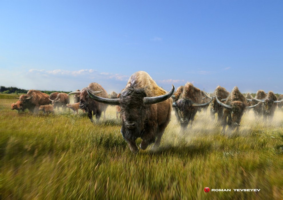 Индейцы, пеммикан и уничтожение видов бизонов и лошадей до прихода европейцев - 4
