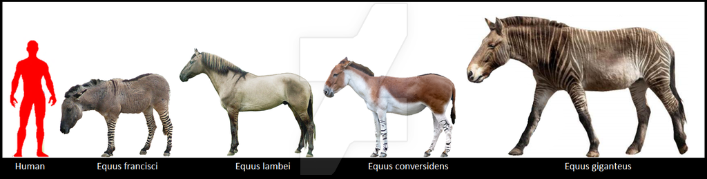 Индейцы, пеммикан и уничтожение видов бизонов и лошадей до прихода европейцев - 7