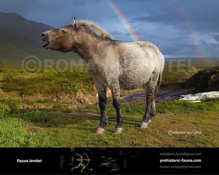 Индейцы, пеммикан и уничтожение видов бизонов и лошадей до прихода европейцев - 8