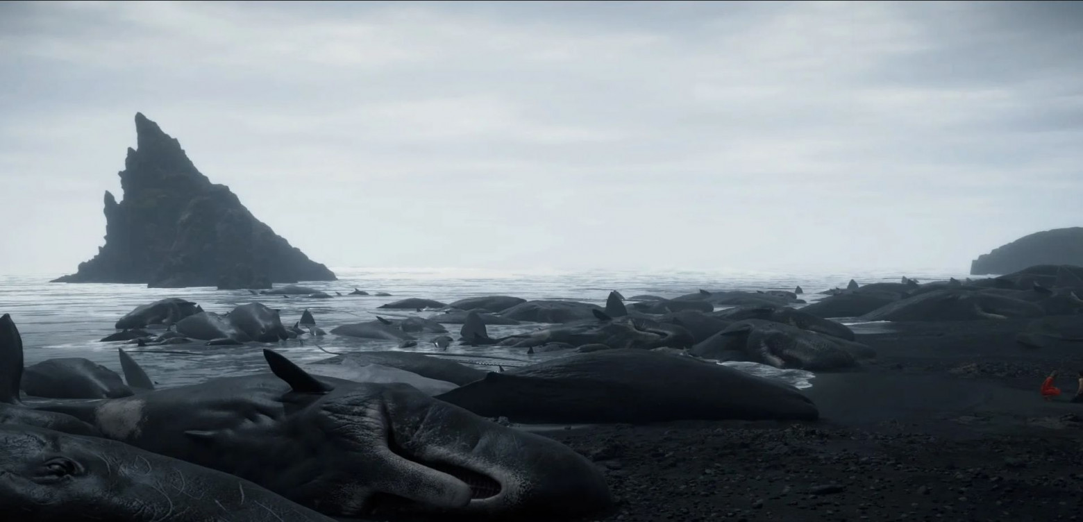 Тот самый пляж с мертвыми китами