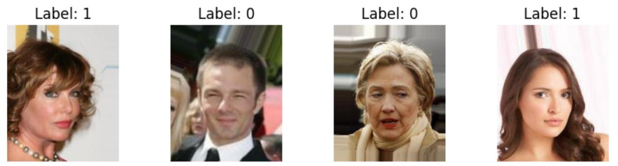 Примеры данных в датасете.