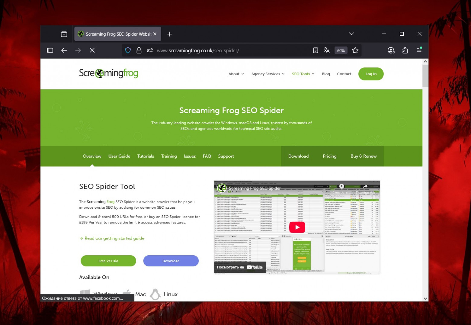 Screaming Frog SEO Spider сканирует сайт и выявляет ошибки для быстрого аудита!