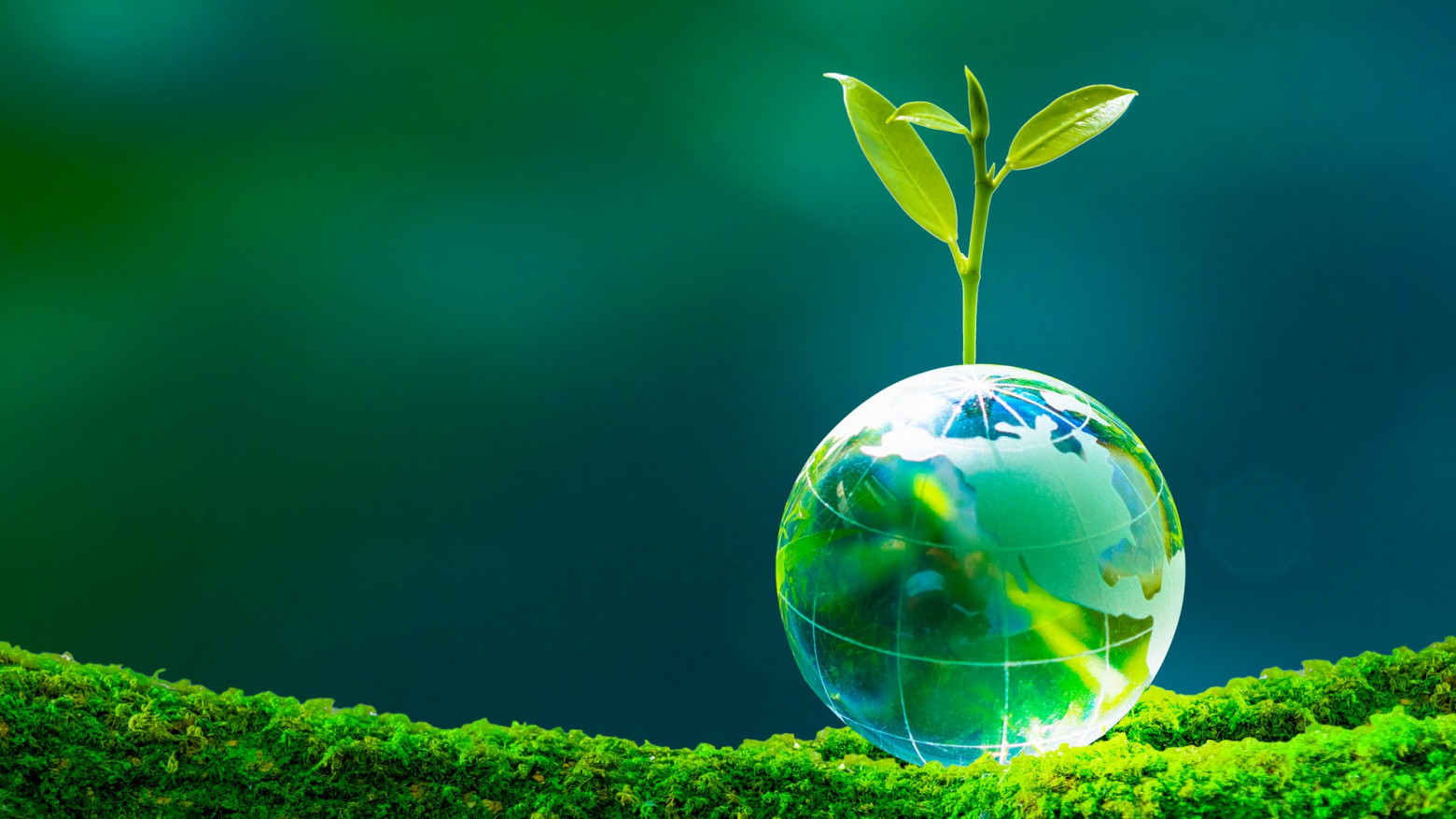 Нерешённые вопросы о происхождении жизни - 3 Нерешённые вопросы о происхождении жизни - 3