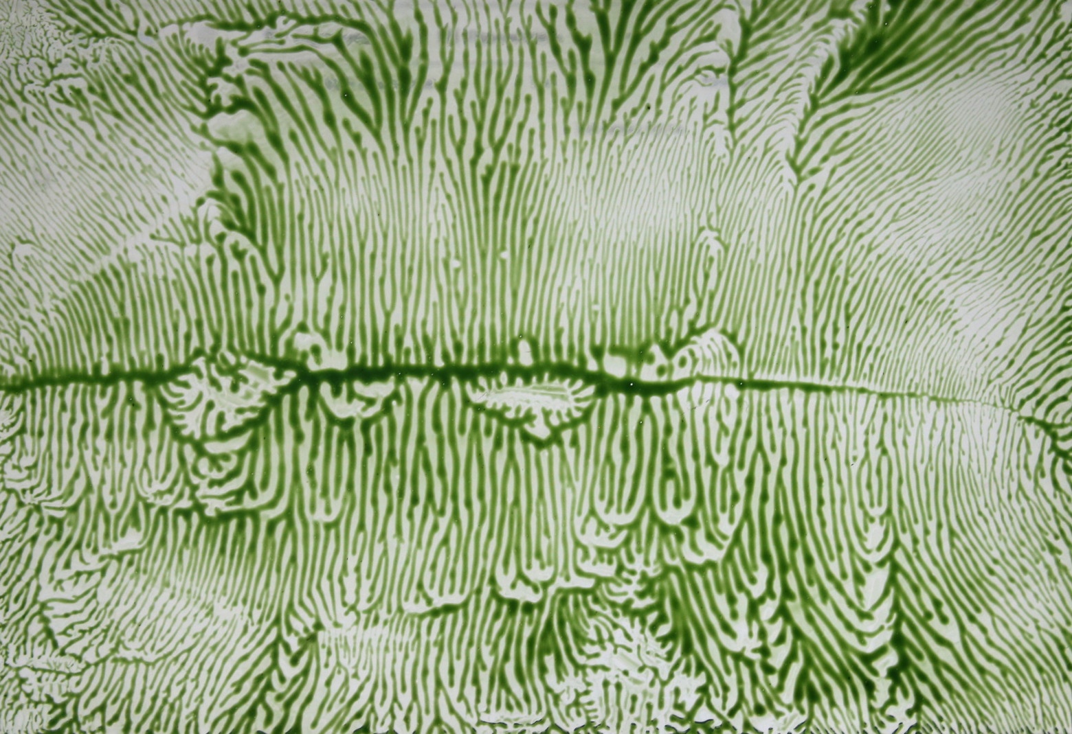 Стохастический узор, непосредственная фотография  с гибкой пленки