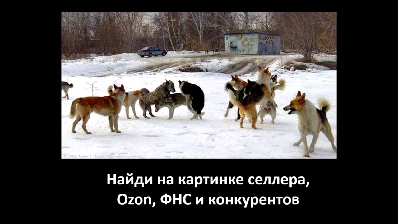 Гайд от диагноза «Как выйти на Ozon» до роли эксперта в кабинетах «Озон Селлер» - 3